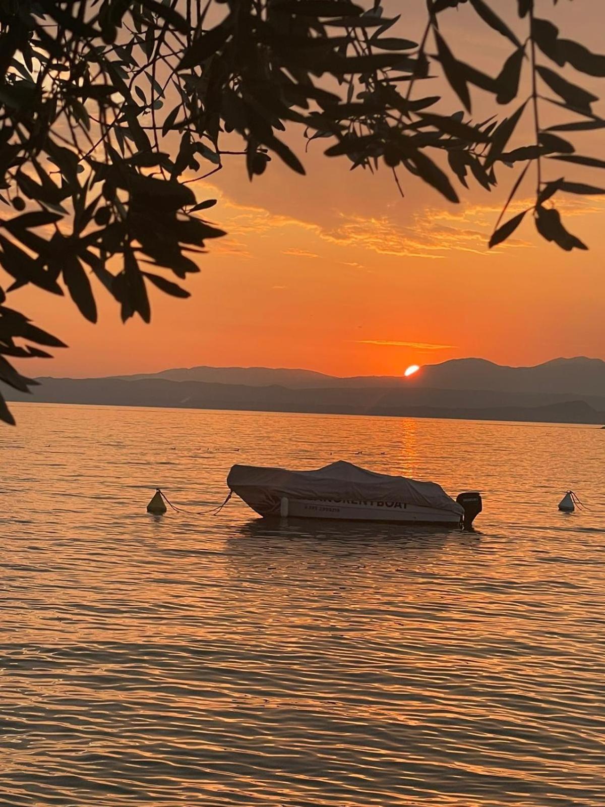 La Dolce Vita باردولينو المظهر الخارجي الصورة